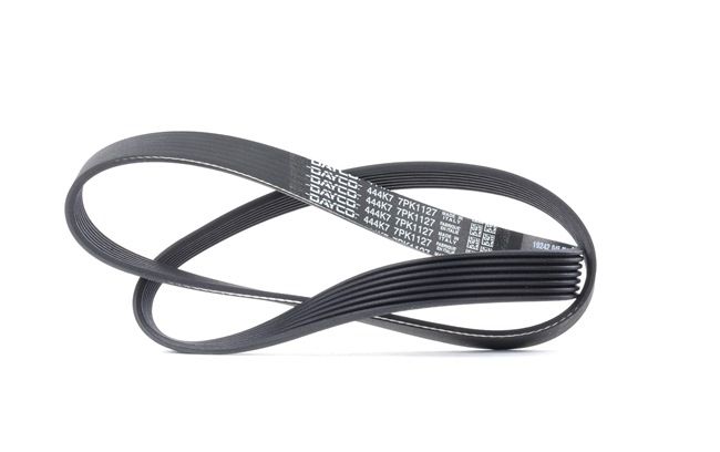 DAYCO 117201KT0A Multiriem