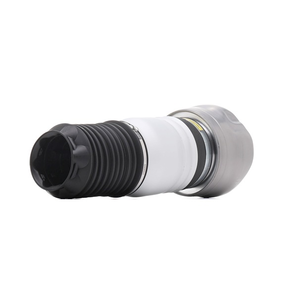 RIDEX 4119A0151 Fole, suspensão pneumática PORSCHE Panamera (970) 3.6 Gasolina 300 cv 2013 preço