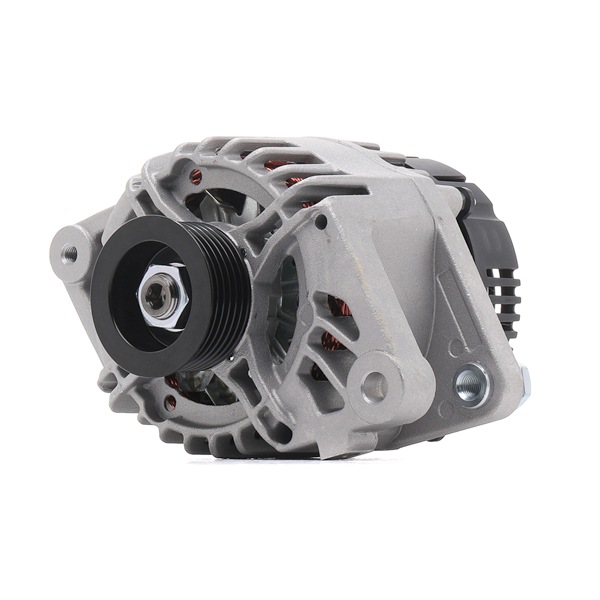 270600Q120 OE RIDEX PLUS Generator 4G0209P