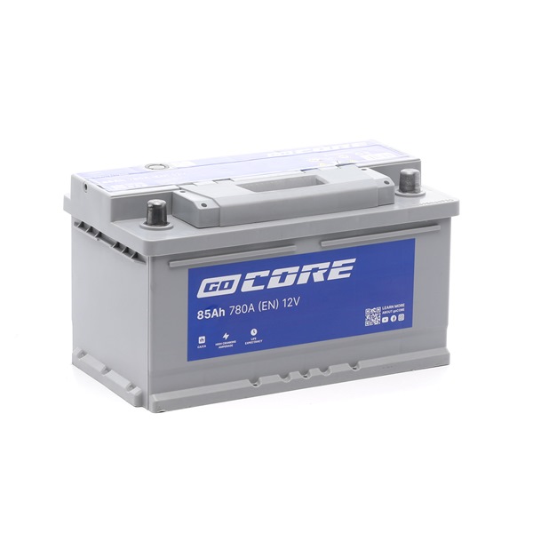 0009822108 OE goCORE Batterie GCA0013