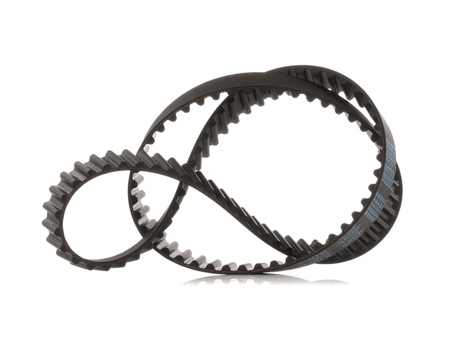 DAYCO Correia dentada 94158