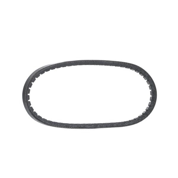 Correa trapezoidal 068903137AF DAYCO 10A0595C