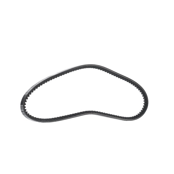 DAYCO 7597531 V-riem