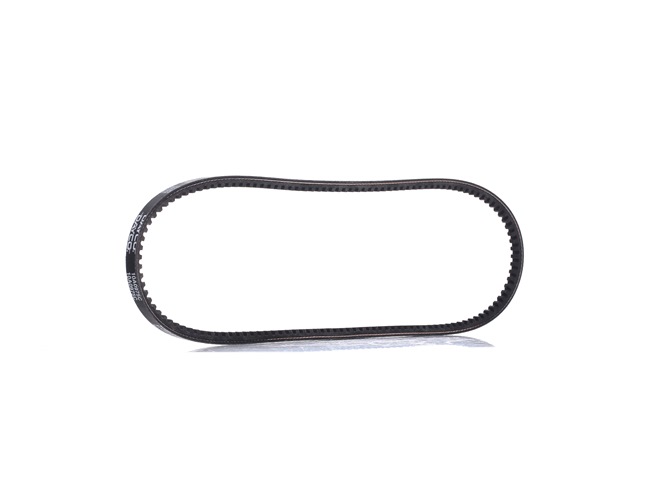 DAYCO Kiilahihna 10A0975C