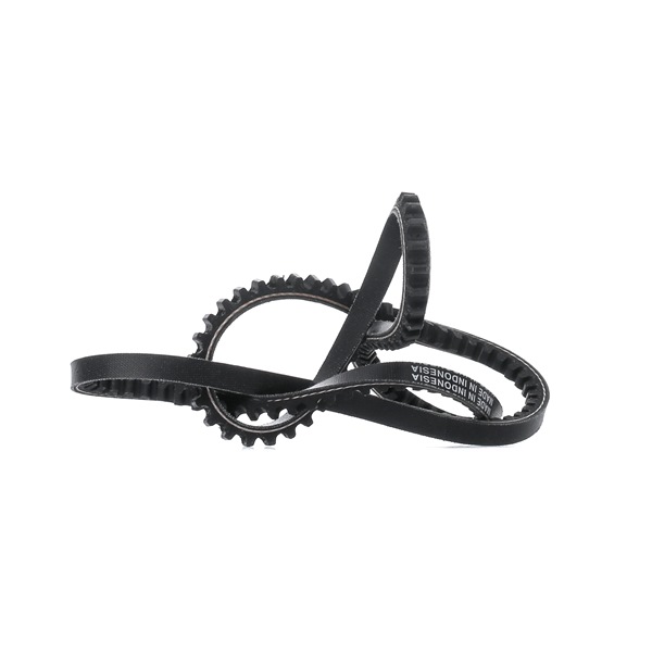 DAYCO 563132 V-riem