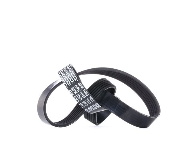 06F260849L OE DAYCO Courroie Poly-V 6PK1053