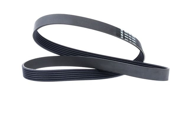 038903137R OE DAYCO Courroie Poly-V 6PK1137