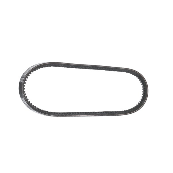 DAYCO 13A0800C Audi A6 C6 Avant Keilriemen original kosten