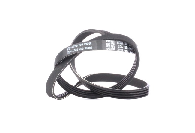 DAYCO 4PK1125 Jeu de courroies trapézoïdales à nervures MITSUBISHI PAJERO 4 (V8W, 59W) 3.0 4WD Essence 177 CV 2020 prix