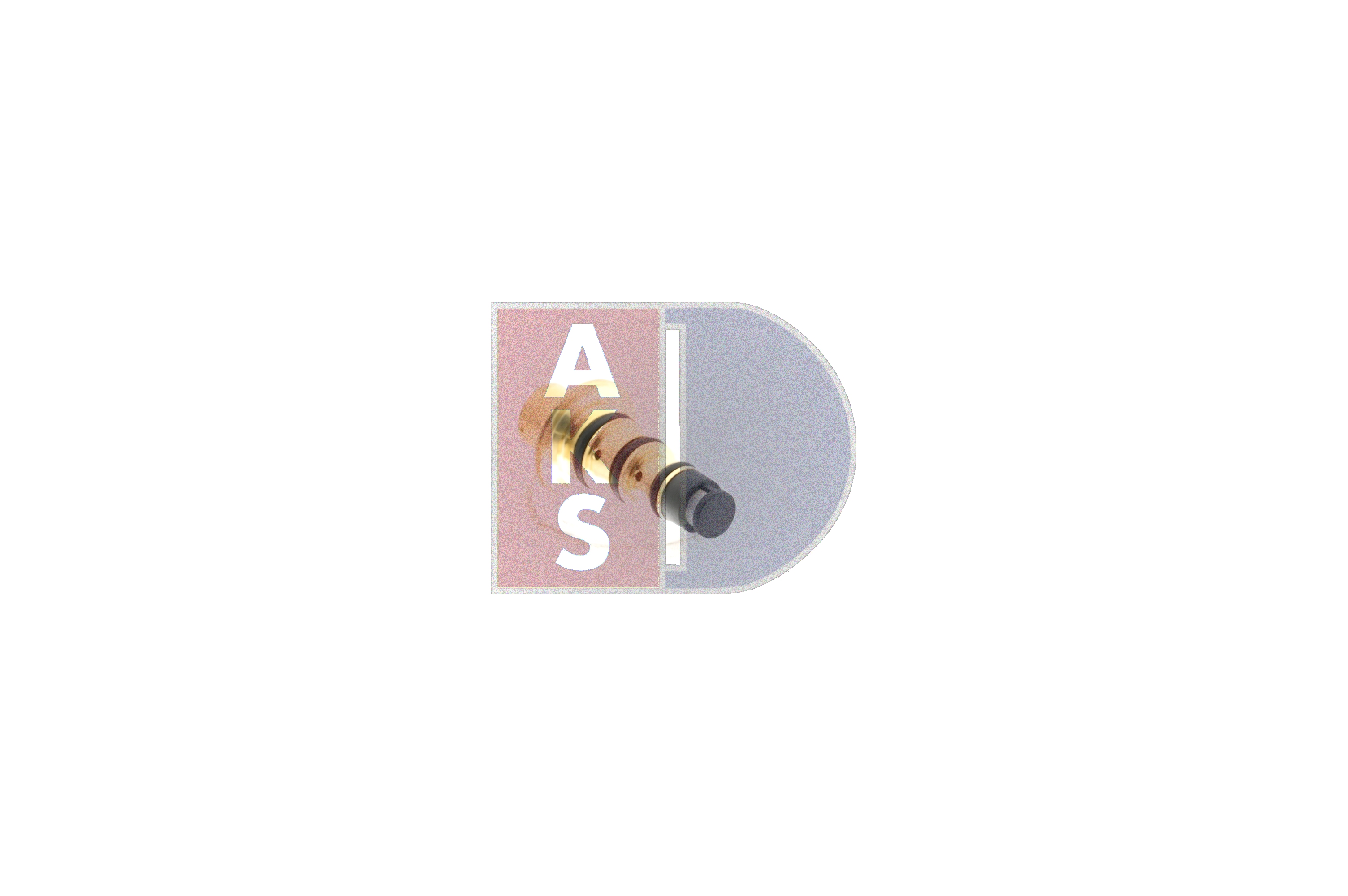 AKS DASIS 8V5119D629DG Regelventiel, compressor