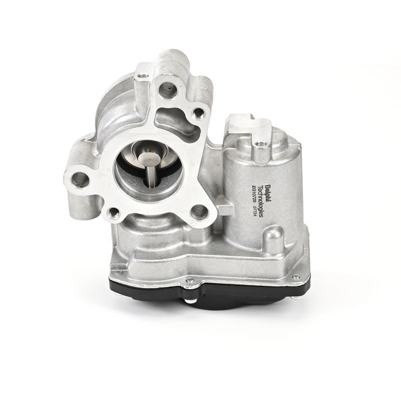 DELPHI EG10729-12B1 AGR Ventil MERCEDES-BENZ MARCO POLO kaufen