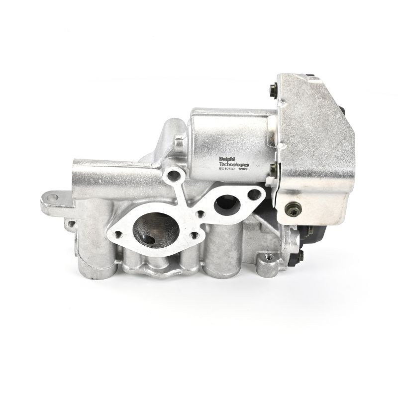 DELPHI EG10730-12B1 original MERCEDES-BENZ GLB AGR Ventil Preis