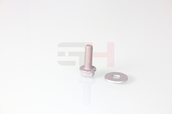 31306851799 OE GH Screw GH-391514