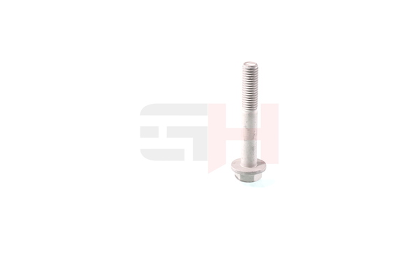GH Skrue / bolt, akseltap GH-391933
