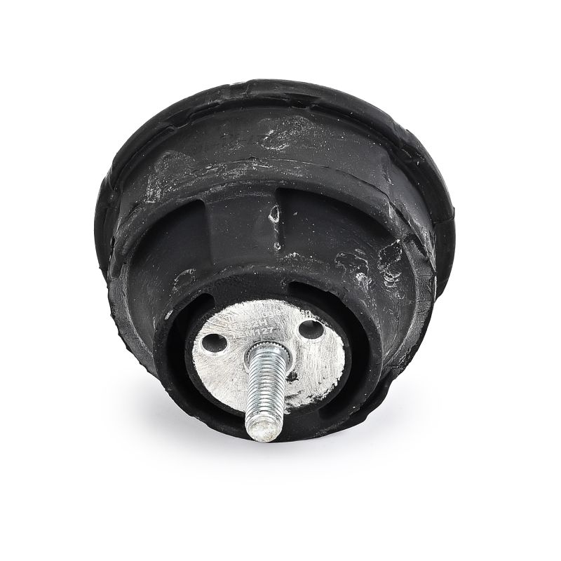 TEM127 DELPHI Soporte de motor BMW Serie 1