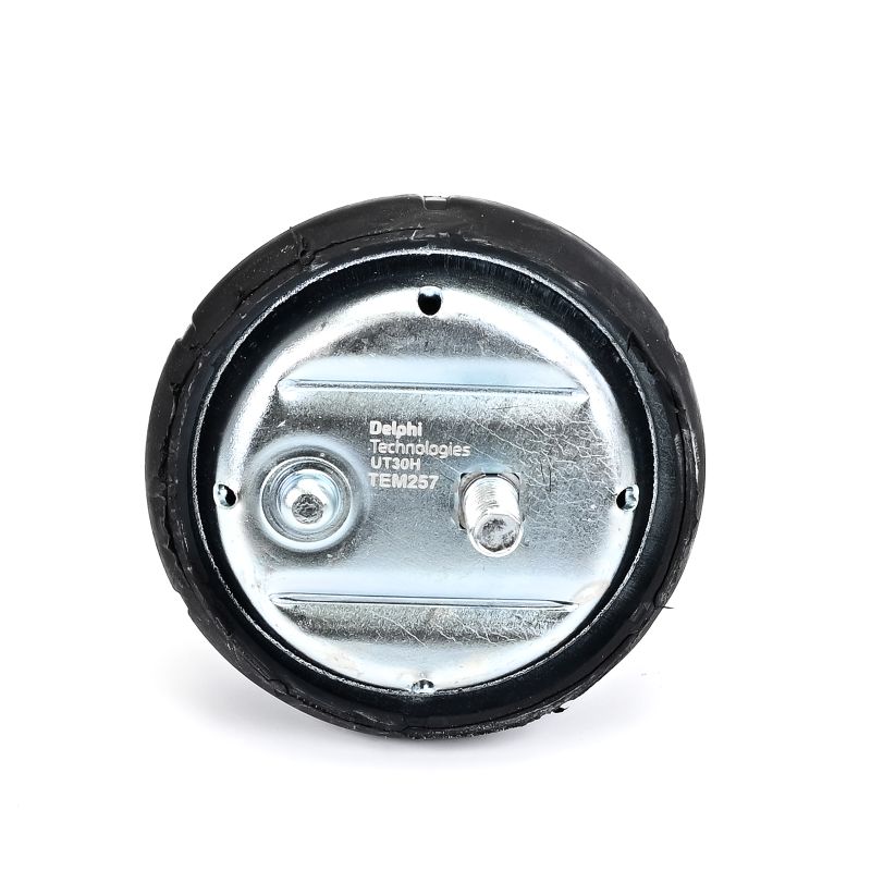TEM257 DELPHI 11811140985 Motorlager