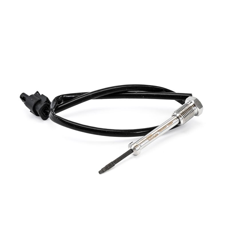 DELPHI TS30034-12B1 Sensore di temperatura X3 F25 xDrive 35 d Diesel 313 CV 2013 prezzo