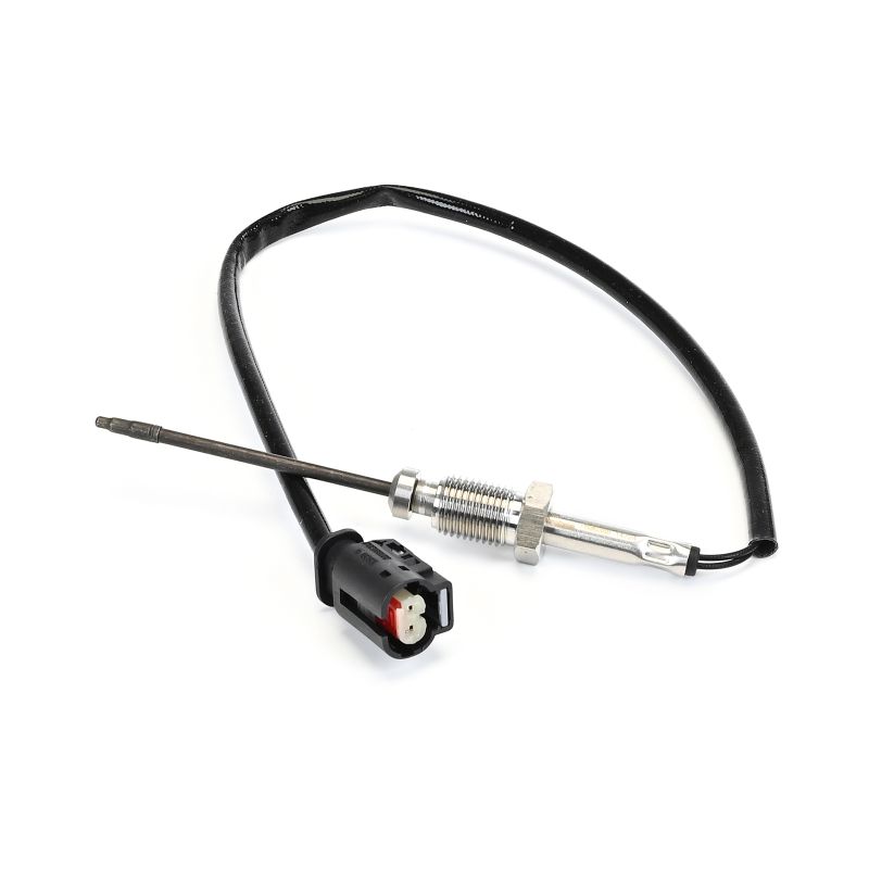 Costo sonda di temperatura BMW X3 DELPHI TS30368-12B1