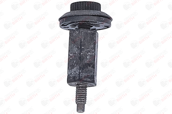 Tope, tapa motor 0137F6 BIRTH 80969