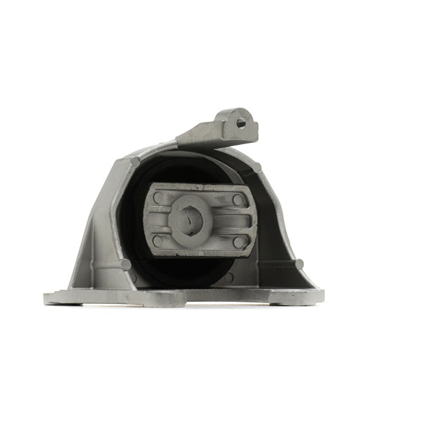 RIDEX 247E1216 Motorophæng FIAT Doblo I Cargo (223) 1.9 JTD Multijet Diesel 120 HK 2024 pris