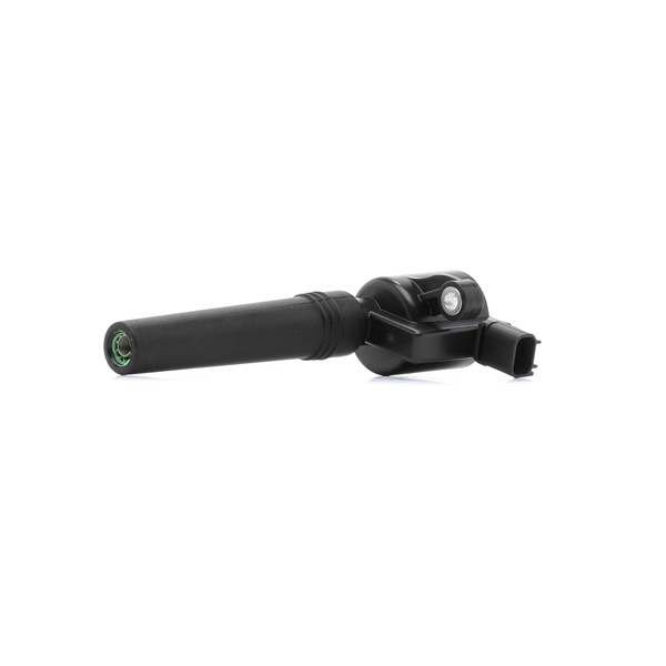 goCORE 2W4E12A366BB Tändspole