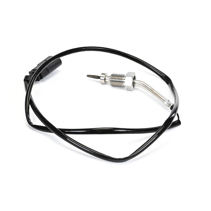 TS30016-12B1 DELPHI Temperature probe SEAT IBIZA