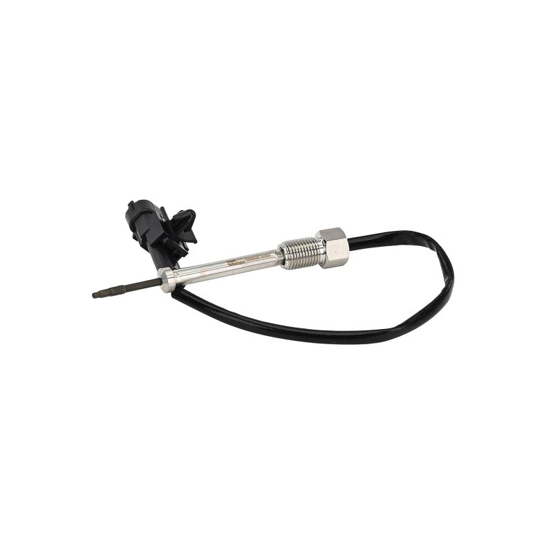 DELPHI TS30046-12B1 Abgastemperatursensor KIA RIO 2024 Baujahr