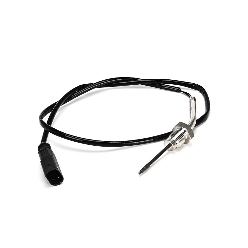 DELPHI TS30383-12B1 Abgastemperatursensor VW Multivan T6 (SGF, SGM, SGN) 2.0 TDI 150 PS Diesel 2019