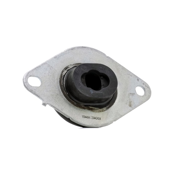 RIDEX 247E1252 Vlezajenje motorja RENAULT ESPACE IV (JK0/1_) 2.0 dCi (JK03, JK04, JK1C, JK1G, JK1J, JK1K) Dizel 173 km 2025