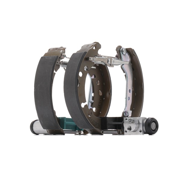049070D010 OE RIDEX Комплект тормозов, барабанный тормозной механизм 3859B0344