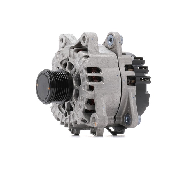 FORD 2432355 Generator Tourneo Custom V710 Bus (NXN) 2.5 Duratec Plug-in-Hybrid Benzine/Elektro 232 Pk 2024 kosten