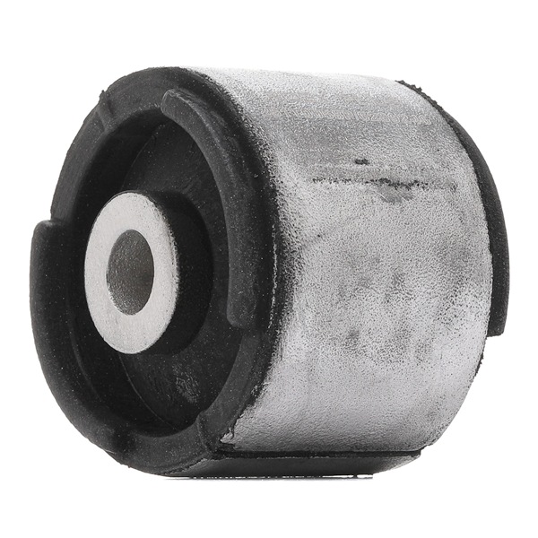 251T0058P RIDEX PLUS 6770817 Lagerung, Lenker