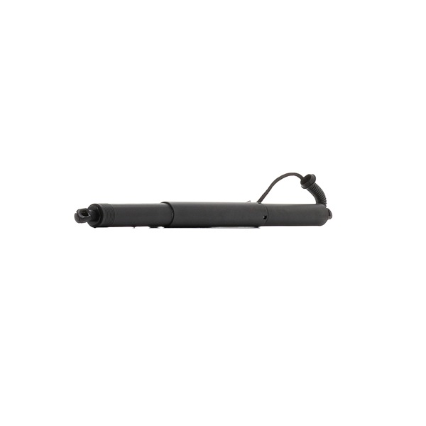RIDEX 7413E0002 Tailgate struts AUDI A5 B9 Sportback (F5A) 35 TFSI Mild Hybrid Petrol/Electric 150 hp 2024 price