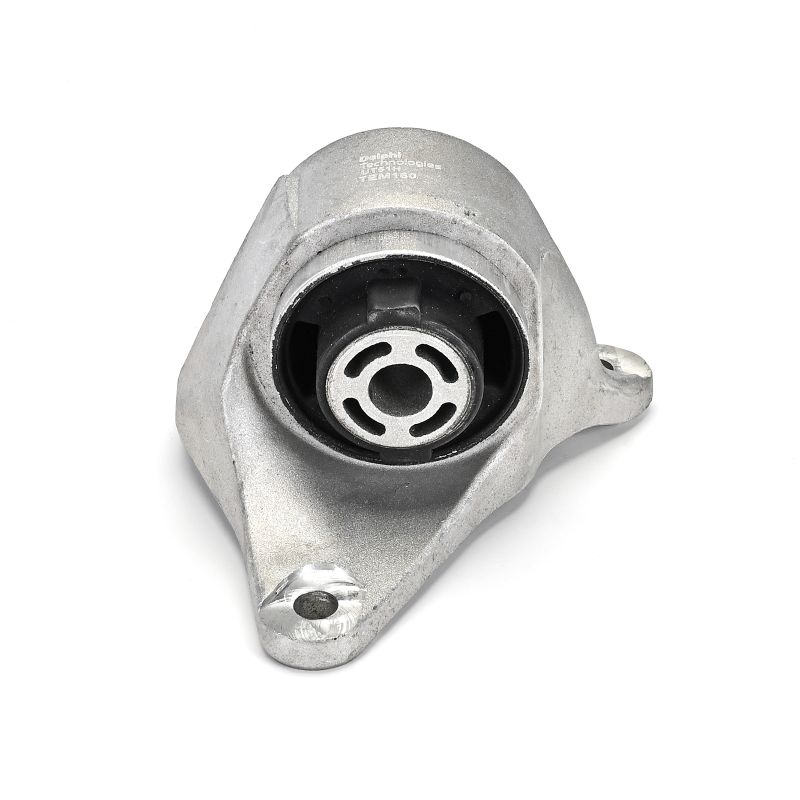 DELPHI TEM160 Engine mounting TESLA Model S (5YJS) EV AWD Electric 573 hp 2023 price