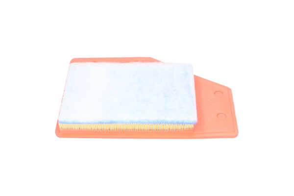 KAVO PARTS FAF-11021 Air filters Opel Insignia B Country Tourer 1.6 Turbo (47) Petrol 200 hp 2024 price