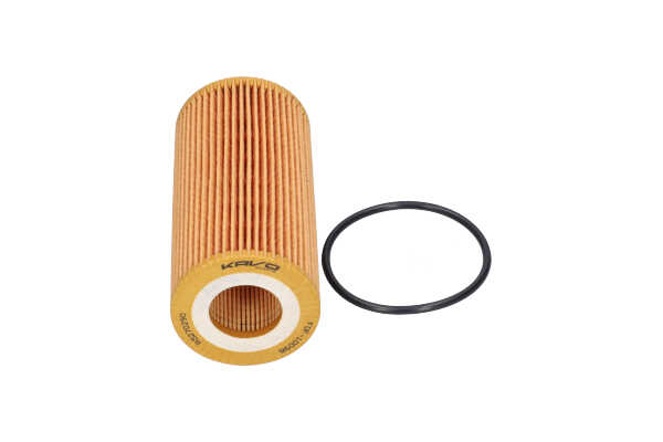 KAVO PARTS FOF-10098 Oljni filter AUDI A6 Avant (4A5, C8) 50 TDI Mild Hybrid quattro Dizel/elektro 286 km 2022