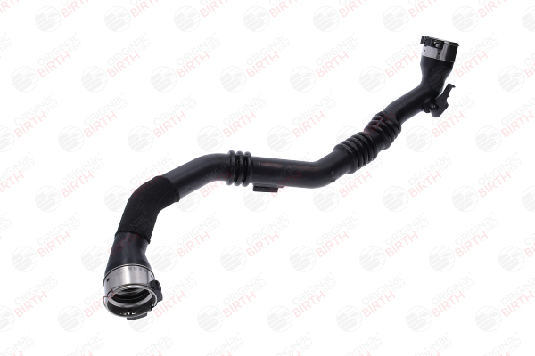 BIRTH 55896 Ladeluftschlauch RENAULT Sandero / Stepway I (BS_) Kosten