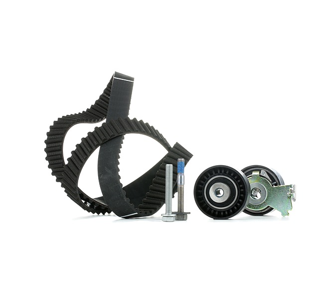 530 0419 10 INA Kit de correa de distribución PEUGEOT 307