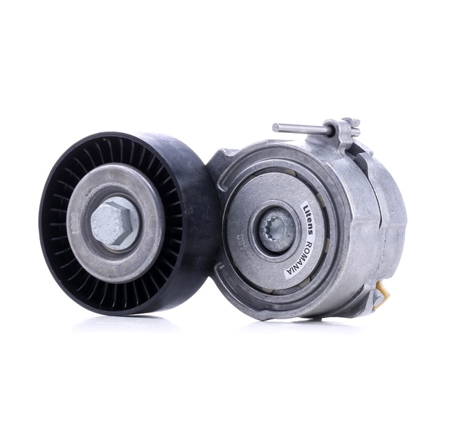 06E903133AG OE INA Tensioner Lever, v-ribbed belt 534 0375 10
