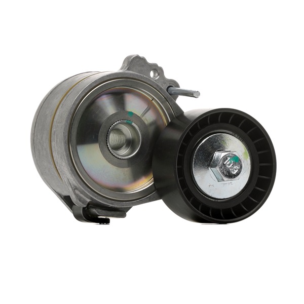 1613840080 OE goCORE Spannrolle, Keilrippenriemen GCC100012