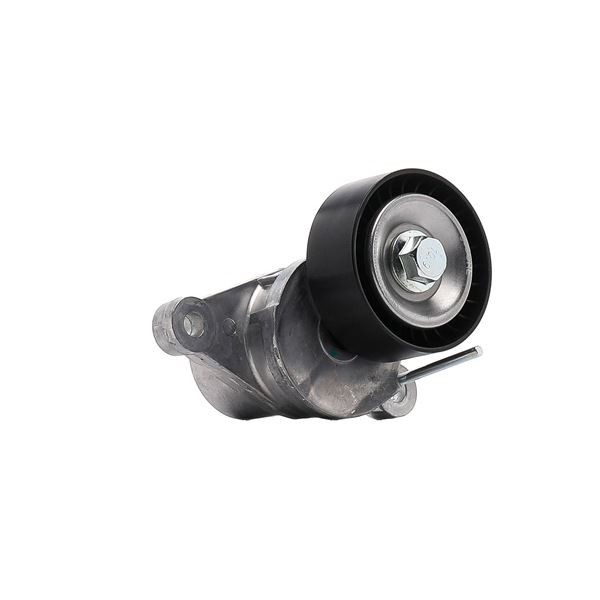 goCORE GCC100023 Rullo tenditore, cinghia poly-v PEUGEOT 208 I Hatchback (CA_, CC_) 1.4 HDi Diesel 68 CV 2019 prezzo