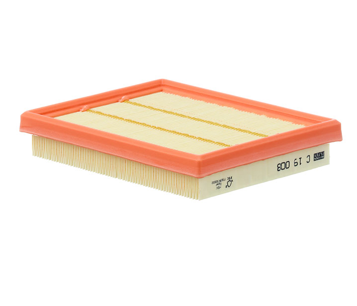 MANN-FILTER C 19 008 Motorluftfilter Austral (RHN) TCe 130 Bensin/elhybrid 131 hk 2024 pris