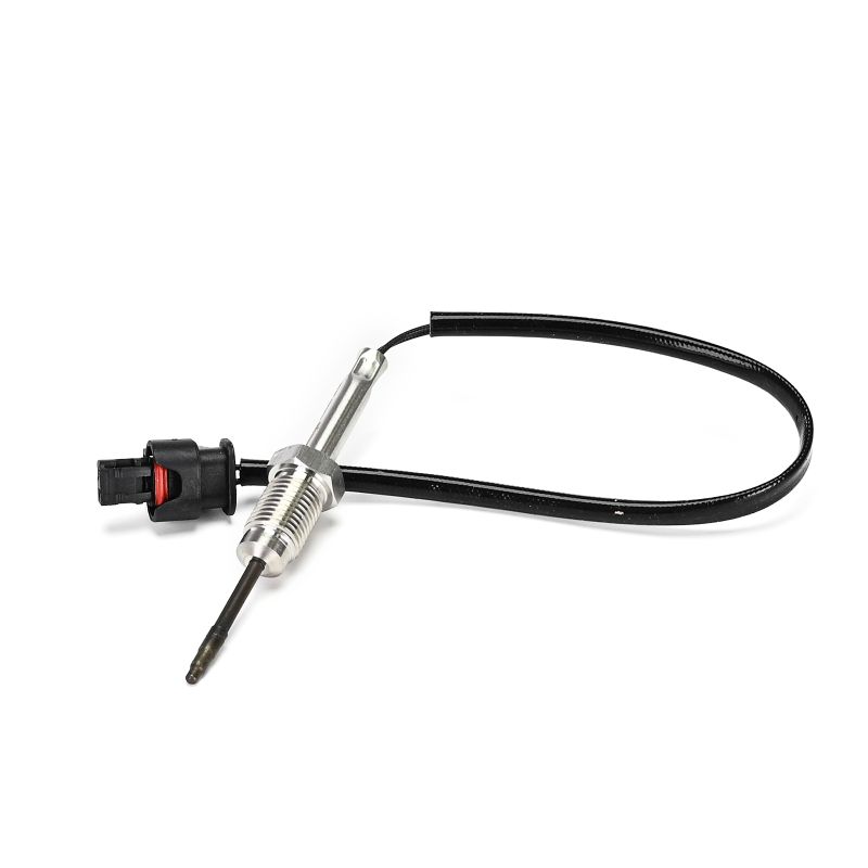 Costo sensore di temperatura BMW X3 DELPHI TS30363-12B1
