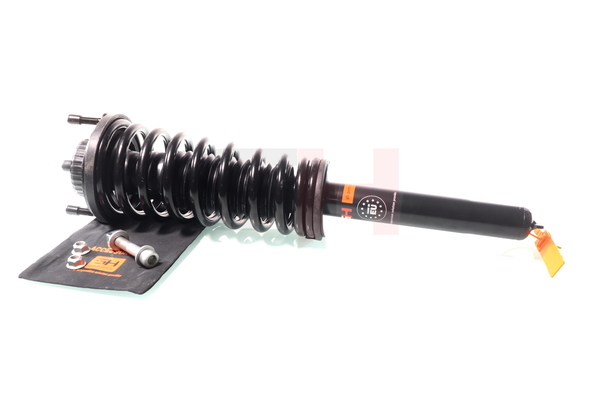 60624992 OE GH Vzmetna noga(blazilnik) GH-331056C04