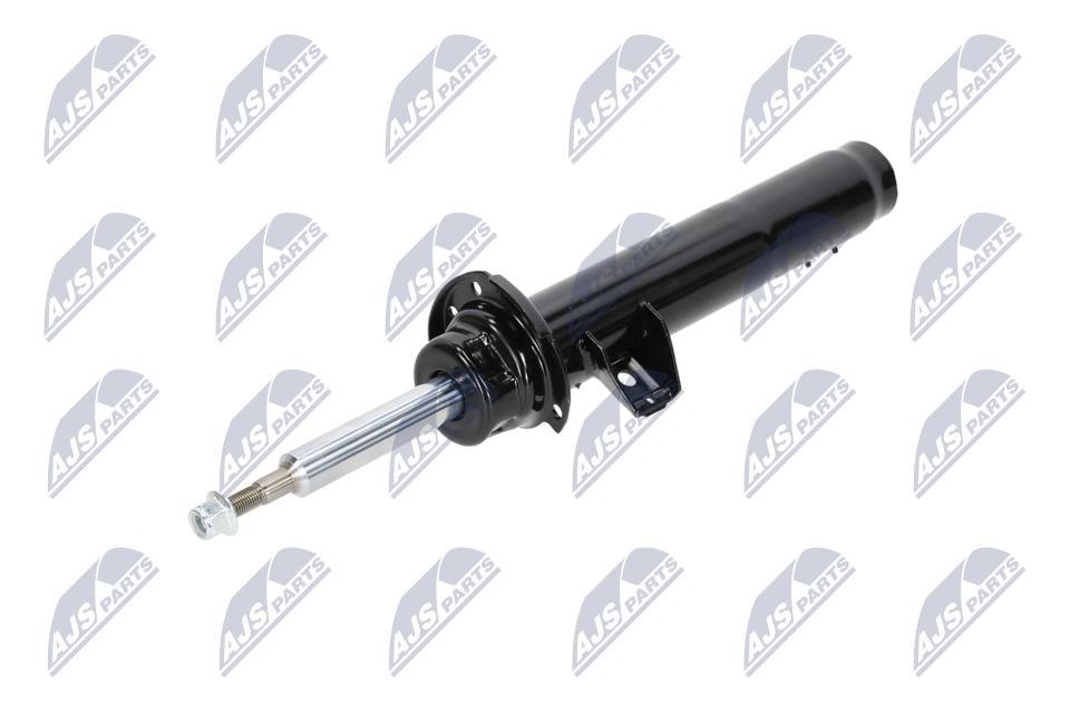 31316851334 OE NTY Амортизатор A-BM-038
