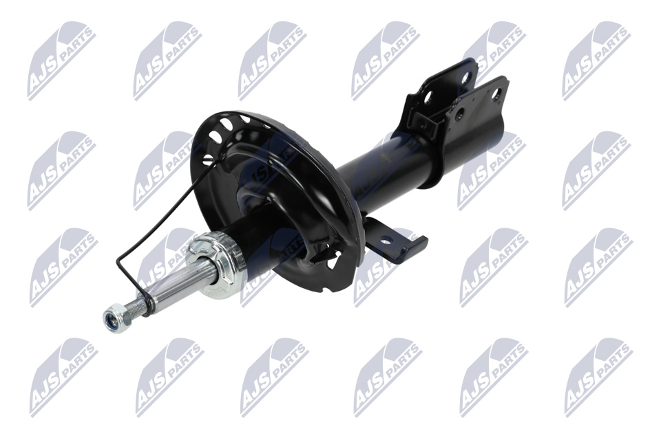 543020808R OE NTY Amortecedor A-RE-025