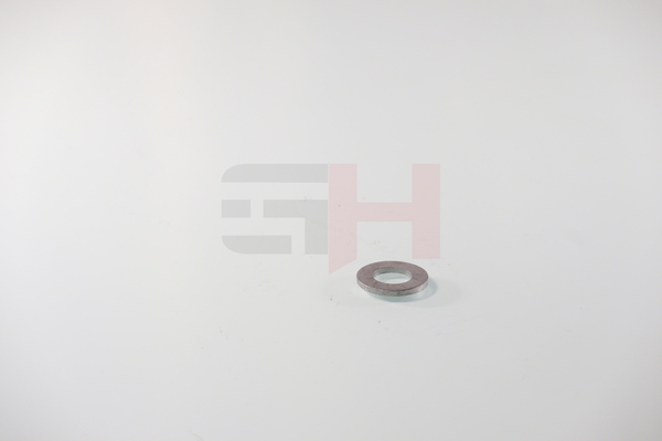 12646021 OE GH Rondelle de calage GH-391053