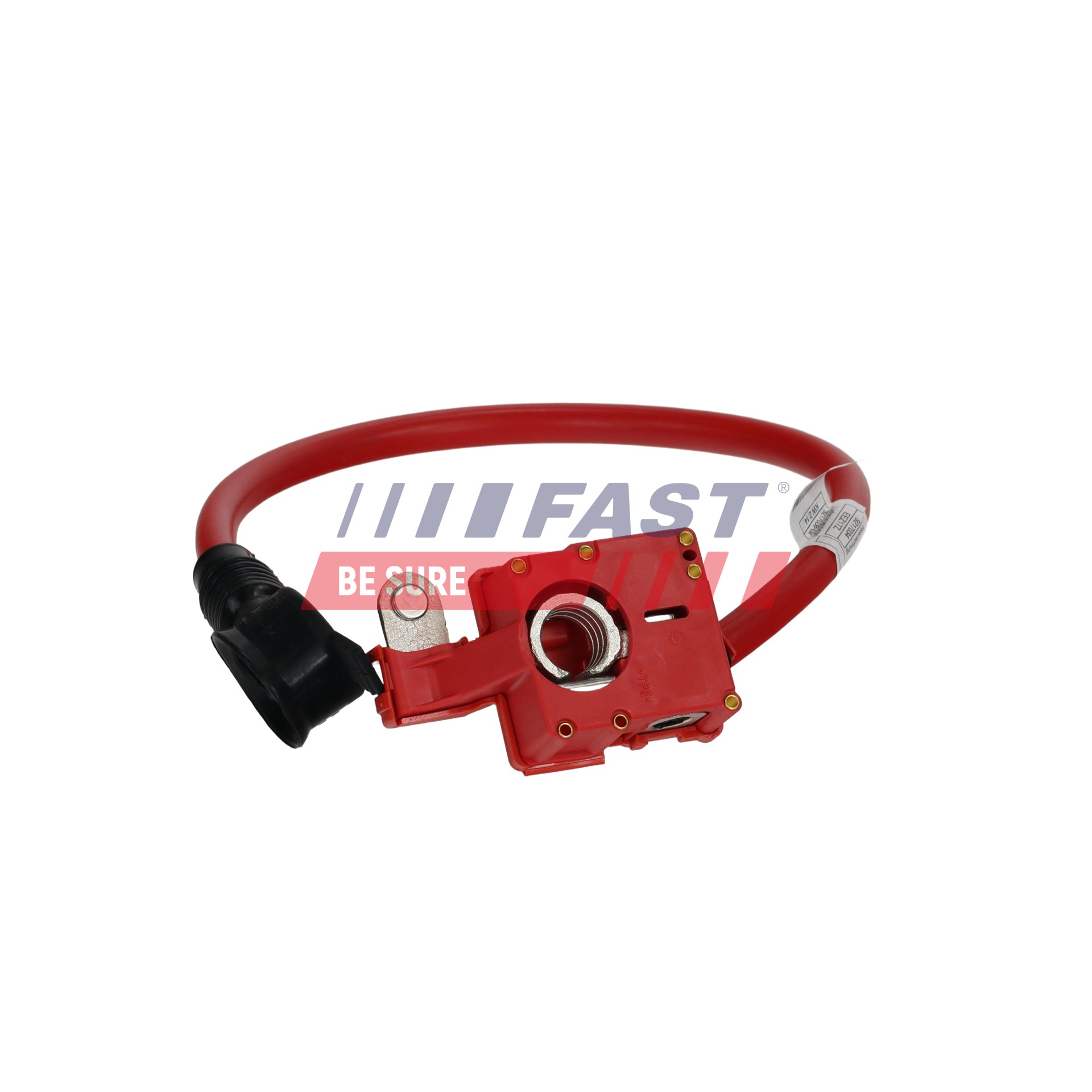 FAST FT01795 Starterbatterie BMW X6 (E71, E72) xDrive30d Diesel 235 PS 2008