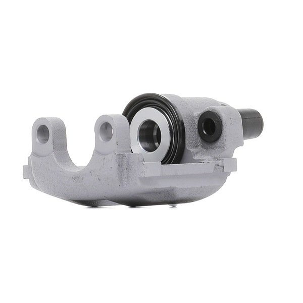 RIDEX PLUS 78B0224P Remklauwen 3 Touring (E46) 325i 2.5 Benzine 192 Pk 2004 kosten