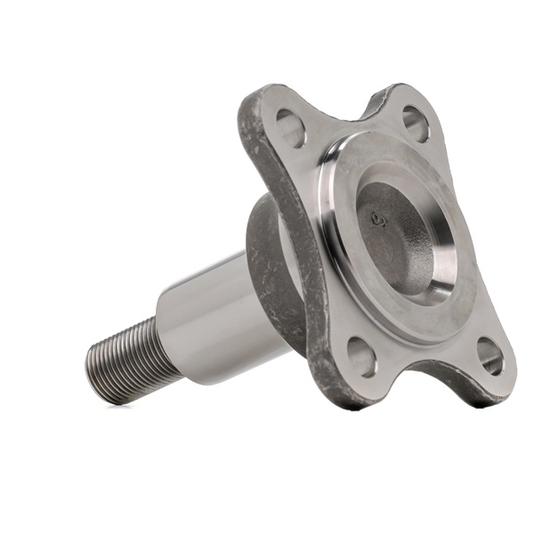 FORD BK214A013EB Akselitappi, akselirunko 2483005